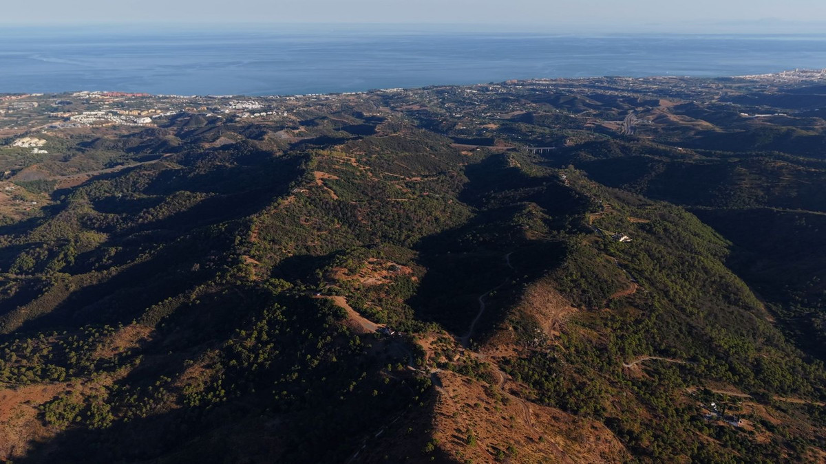 Estepona